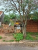 Imobiliária SÃO JOÃO 52 ANOS  