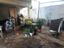 Imobiliária SÃO JOÃO 52 ANOS    