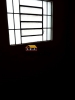 Imobiliária SÃO JOÃO  52 ANOS  