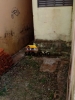 Imobiliária SÃO JOÃO  52 ANOS  