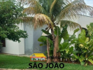 Imobiliária SÃO JOÃO 53 ANOS       