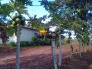  Imobiliária SÃO JOÃO 52 ANOS        