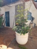  Imobiliária SÃO JOÃO 52 ANOS      