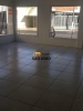 Imobiliária SÃO JOÃO 52 ANOS 