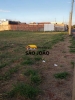 Imobiliária SÃO JOÃO 52 ANOS 